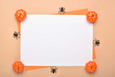 Background for the Halloween holiday with pumpkins and spiders there is a place for text on a white...