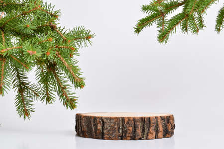 Background with a wooden podium for a product presentation next to a branch. An empty space for advertising. A stand made of natural material for branding goods and cosmetics.の写真素材
