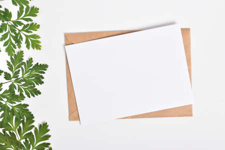 Invitation template with an envelope on a white background with green twigs objects. Flat layout, top view, a place to copy.の写真素材