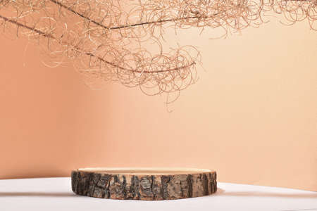 A showcase made of natural wood, natural shadows and dried flowers. The podium for the presentation of goods and cosmetics is made of wood on a neutral beige background. Minimalistic branding scene.の写真素材