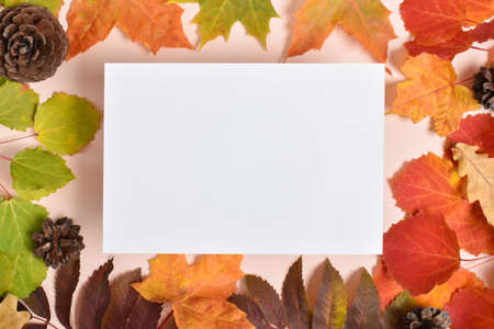 A frame made of autumn colored leaves. Herbarium with a place for the text. Flat lay, top view, copy space.の写真素材