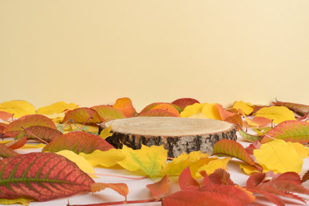 Autumn showcase made of natural wood and autumn foliage. The podium for the presentation of goods and cosmetics is made of wood on a beige background. Minimalistic branding scene.の写真素材