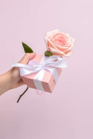 Top view A woman's hand holds a pink gift box with a white ribbon and a pink rose on a pink background. Happy birthday, Happy Mother's Day, wedding, anniversary, Valentine's Day card.の写真素材