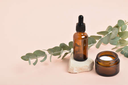 Layout of natural cosmetics made of eucalyptus with a place for text. Eco-invitation. Minimalism. Banner for cosmetics.の写真素材