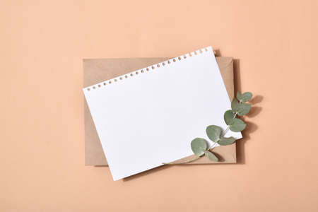 The minimum layout of a letter with an envelope on a blue background with eucalyptusの写真素材