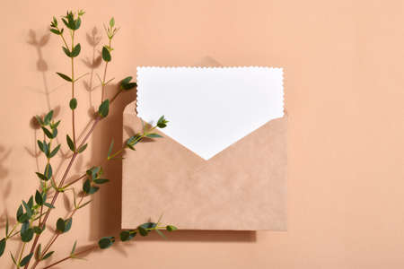 Minimal layout of a letter with an envelope on a beige background with eucalyptus. An empty card for text. Invitation.の写真素材