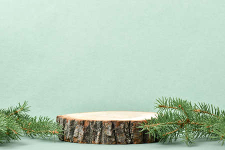 Minimalistic scene of a reclining tree with a fir branch on a light green background.