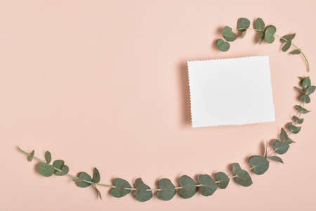 One blank card lies on a kraft envelope next to two branches of eucalyptus. Banner, invitation, postcard. Flatlay, Top view, Overheadの写真素材