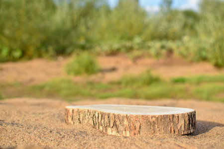 A minimalistic scene of a felled tree lying on the sand against the background of a podium for the presentation of goods and cosmetics. A showcase with a stage for natural products. Empty spaceの写真素材