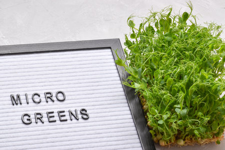 Felt board close-up with letters with the inscription micro greens. Home garden on the windowsill....