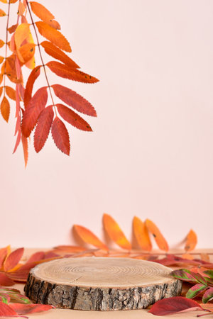 Autumn podium made of natural wood and autumn foliage.の写真素材