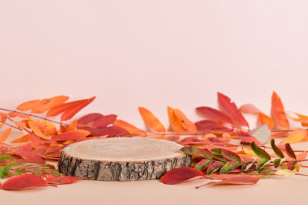 Autumn podium made of natural wood and autumn foliage. The showcase for the presentation of goods and cosmetics is made of wood on a beige background. minimalist branding sceneの写真素材