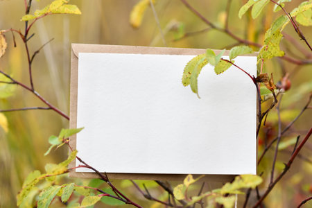 A mock-up card on the background of an autumn tree with a copy space. copyspace. Flat lay, top view.の写真素材