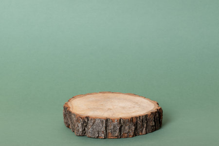 Podium for product presentation. A minimalistic scene of a felled tree lies on a green background....