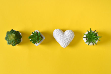 Three succulents and a white knitted heart on a yellow background. copyspace. Flat lay, top view....