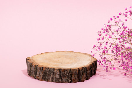 Minimalistic scene of a lying tree with flowers on a light pink background. Podium for the presentation of products and cosmetics. A showcase with a stage for natural products. markingの写真素材