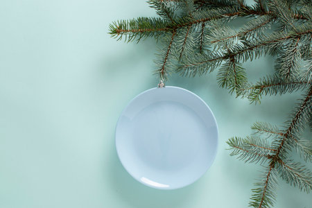 Christmas minimalism. A blue plate in the role of a Christmas ball on a fir branch.の写真素材