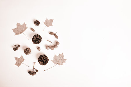 Autumn postcard with leaves, apples and cones on a white background.の写真素材