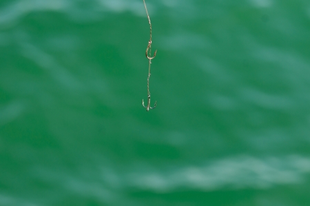 Fish hook against green water