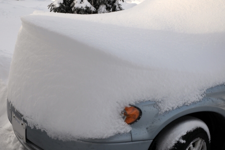 Windscuplted Car Hoodの写真素材