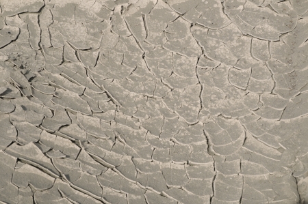 Cracked soilの写真素材