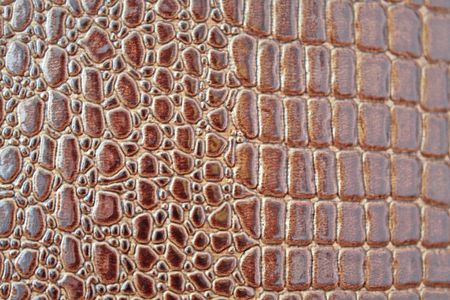 Close up of the brown crocodile textureの写真素材