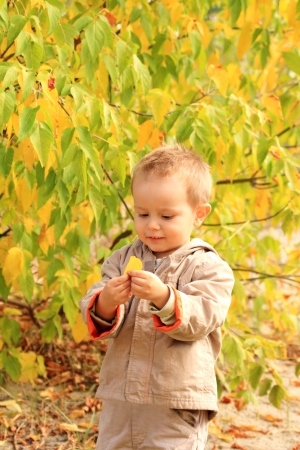 Portrait of the little lovely smiling curious boyの写真素材