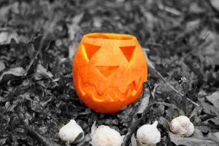 Close up of the Jack O'Lanternの写真素材