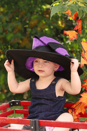 Halloween comingの写真素材