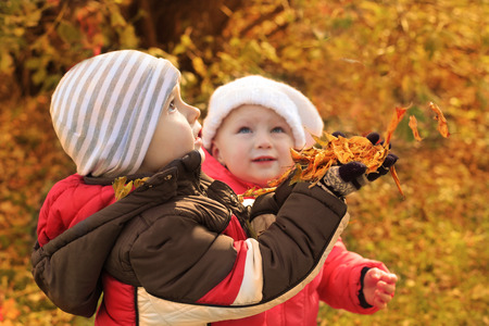Autumnの写真素材