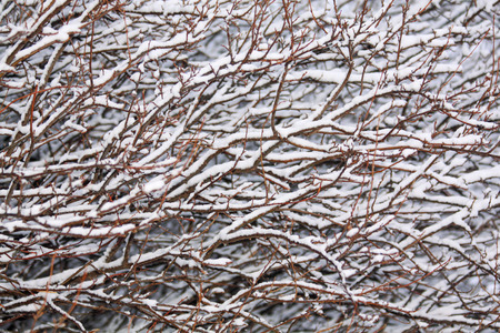 Snow