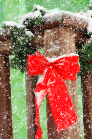 Red Ribbonの写真素材