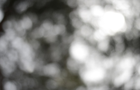 Bokeh backgroundの写真素材