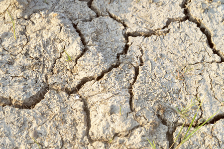 texture of the clay dryの写真素材