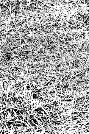 art line black and whiteの写真素材