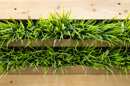 Artificial green grass in wood panels.の写真素材