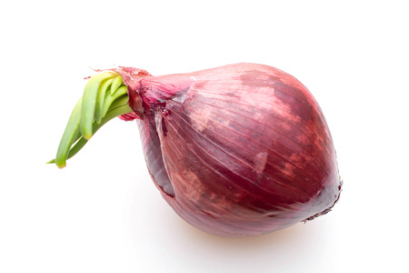 Onion growing with green sprouts on white background.の写真素材