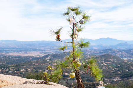 Natural Christmas tree and decorations on mountain.の写真素材