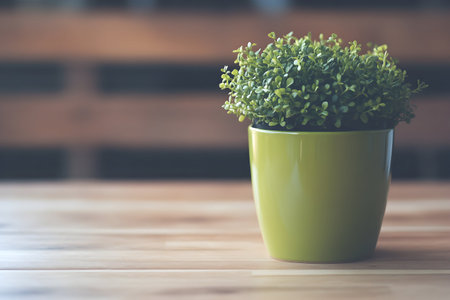 A small green plant nestled in a bright pot adds a fresh touch to a rustic wooden table.の素材