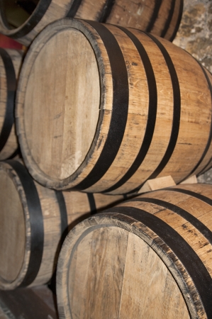 cellar with barrels of wine