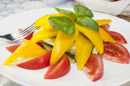 tomatoes and peppers sliced on a white plateの写真素材