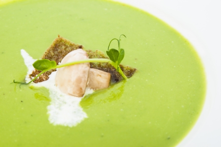 pea soup on a white dish at restaurantの写真素材