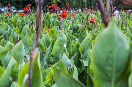 City bed with fall colorsの写真素材