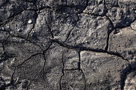 cracked earthの写真素材