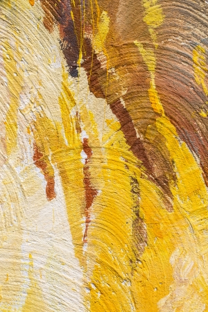 backgroundの写真素材