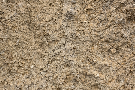 dry land, close-up shotの写真素材