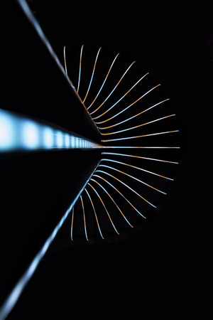 Neon abstract background of lines and bokehの写真素材