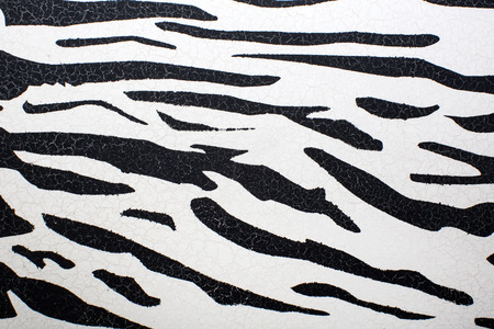 texture of zebra skin
