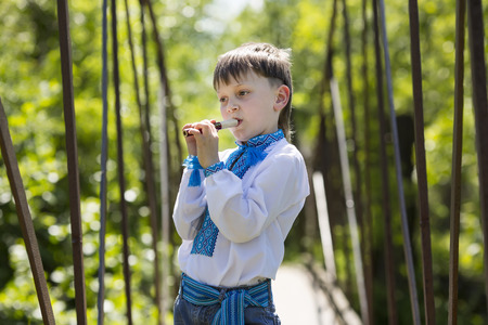 Portrait of a boy on a summer nature