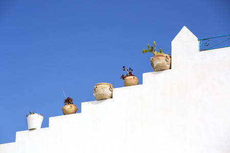 pots with flowers on sky backgroundの写真素材